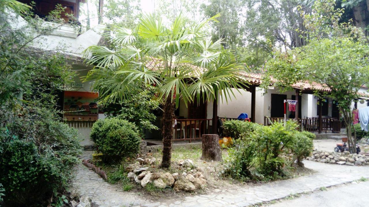 Camping Elizabeth Hotel Kalyvia Varikou Exterior photo